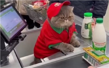 Цифровые помои: что такое «нейрослоп» и как он захватил вашу ленту