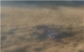 В Березовском районе 10-летнего мальчика загрызли собаки (видео)