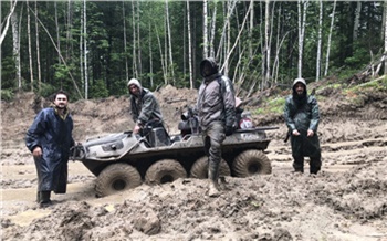 «Спасает или губит?»: красноярские ученые выясняют, может ли сибирская тайга ускорить глобальное потепление