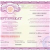 В Красноярском крае суд аннулировал поддельный сертификат о знании мигранткой русского языка