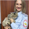 В Красноярском крае полицейские спасли раненого уличного кота и ищут ему хозяев (видео)