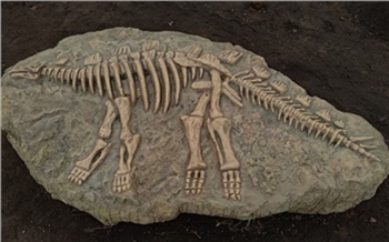 «Больше нигде такого нет!»: как в Шарыпове построили уникальный парк, вдохновленный динозаврами