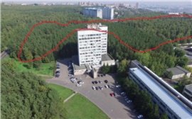 В красноярском Академгородке хотят вырубить лес ради научного центра
