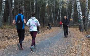 «Сибирское долголетие»: квиз для тех, кому возраст не помеха