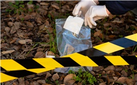 В СК рассматривают криминальную версию исчезновения семьи Усольцевых