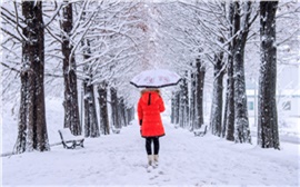 На третьей неделе зимы красноярцев ждет переменчивая погода