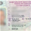 В Красноярском крае полицейские выявили двух псевдоводителей, купивших права в интернете