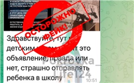 Красноярцев призвали не поддаваться панике из-за сообщений в интернете о нападениях на школы