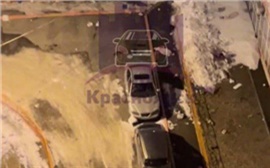 Красноярка выбросила двух кошек и собаку с 14 этажа в «Орбите»