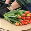 Красноярцам озвучили цены на тюльпаны к 8 Марта