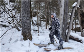 На юге Красноярского края ирбисы испортили подсматривающие за ними три фотоловушки (видео)