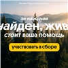В 2025 году спасательный отряд «ЛизаАлерт» при поддержке Билайн нашел и спас более 400 пропавших красноярцев