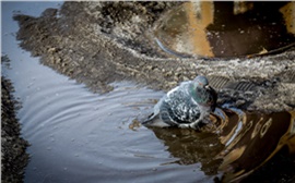 Сдержанный апрель: прогноз погоды на месяц в Красноярске