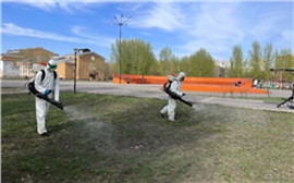 В Красноярске определили места, которые обработают от клещей