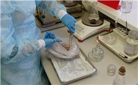 В рыбе красноярского производства нашли опасные бактерии