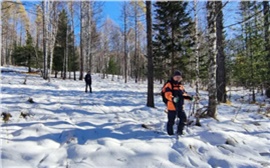 Красноярские спасатели рассказали о возобновленных поисках семьи Усольцевых (видео)