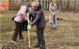 Красноярцев зовут на общегородской субботник 