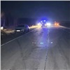 В Красноярском крае трое подростков погибли в ДТП с лошадью 