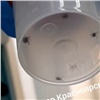 Клещи стали активнее атаковать жителей Красноярского края (видео)