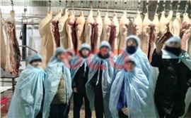 В Ачинском округе школьников 8 класса сводили на экскурсию на скотобойню