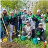 Красноярский край присоединился к экологической акции «Зелёная волна»