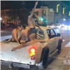 В Красноярске водителя пикапа наказали за «бассейн» на колесах (видео)