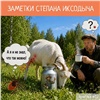 В Роспотребнадзоре предупредили об опасности заразиться клещевым энцефалитом через парное молоко