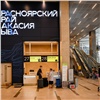 В красноярском аэропорту у иностранцев начнут собирать биометрию
