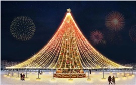 В Красноярске появится новая главная городская ёлка