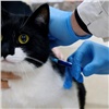 Владельцы кошек массово жалуются на вакцины от создателя «Мультикана»