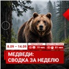 За неделю красноярцы 100 раз сообщили о медведях 