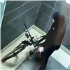 Красноярца осудили за дерзкий грабеж и кражи (видео)