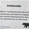 Торгашинскую лестницу в Красноярске закрыли из-за медведей