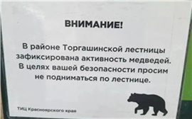 Торгашинскую лестницу в Красноярске закрыли из-за медведей