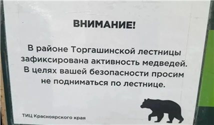 Торгашинскую лестницу в Красноярске закрыли из-за медведей