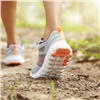 Красноярцев приглашают присоединиться ко Всероссийскому дню ходьбы