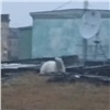 Белого медведя прогнали из поселка на севере Красноярского края (видео)