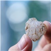 В Красноярском крае нашли первую средневековую кузницу Восточной Сибири