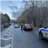 В Красноярске проходит облава на водителей тонированных машин (видео)
