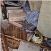 Медведь разгромил таежный дом мэра Минусинска (видео)