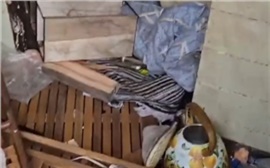 Медведь разгромил таежный дом главы Минусинского округа (видео)