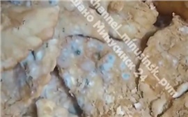 Заплесневелые чебуреки обнаружили в краснотуранском «Светофоре» (видео)