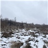 Пропавшую 16-летнюю девушку нашли мертвой в Ачинске 