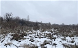 Пропавшую 16-летнюю девушку нашли мертвой в Ачинске 