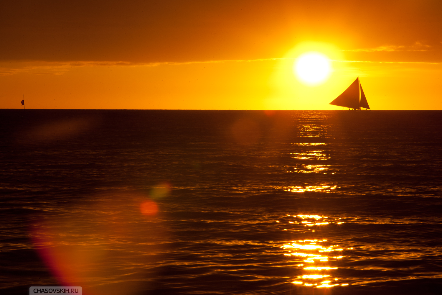 Никто не хочет возвращаться в родной Мухосранск