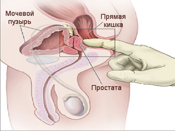 Prostate Vibrator Порно Видео | altaifish.ru