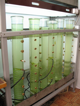  Примерно такие трубы использовали авторы этой стать для своей работы. А этот снимок сделан в нашей лаборатории &ndash; осталось только результаты экспериментов опубликовать в не менее крутом журнале.