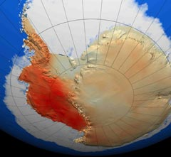 В Антарктиде теплеет, как и на всей планете