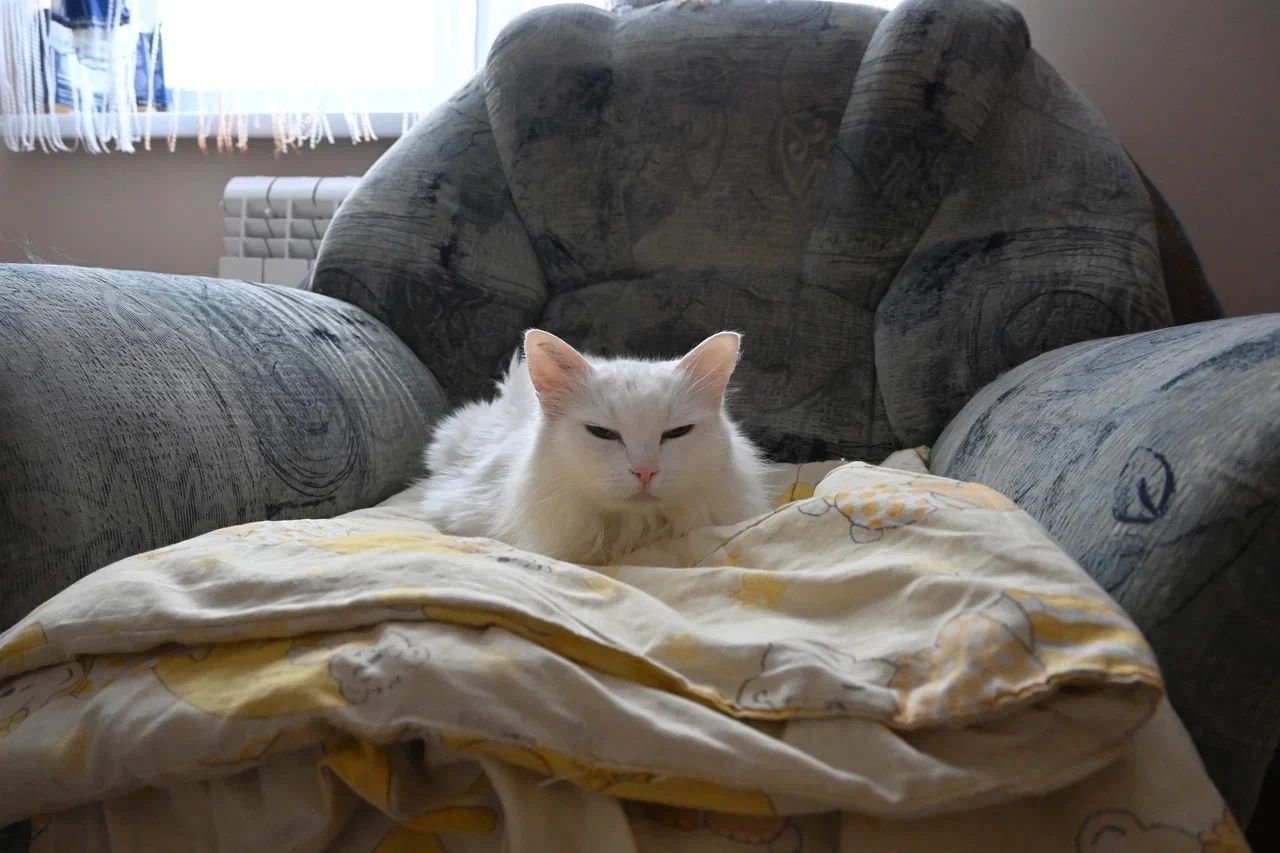 Переезду рады все