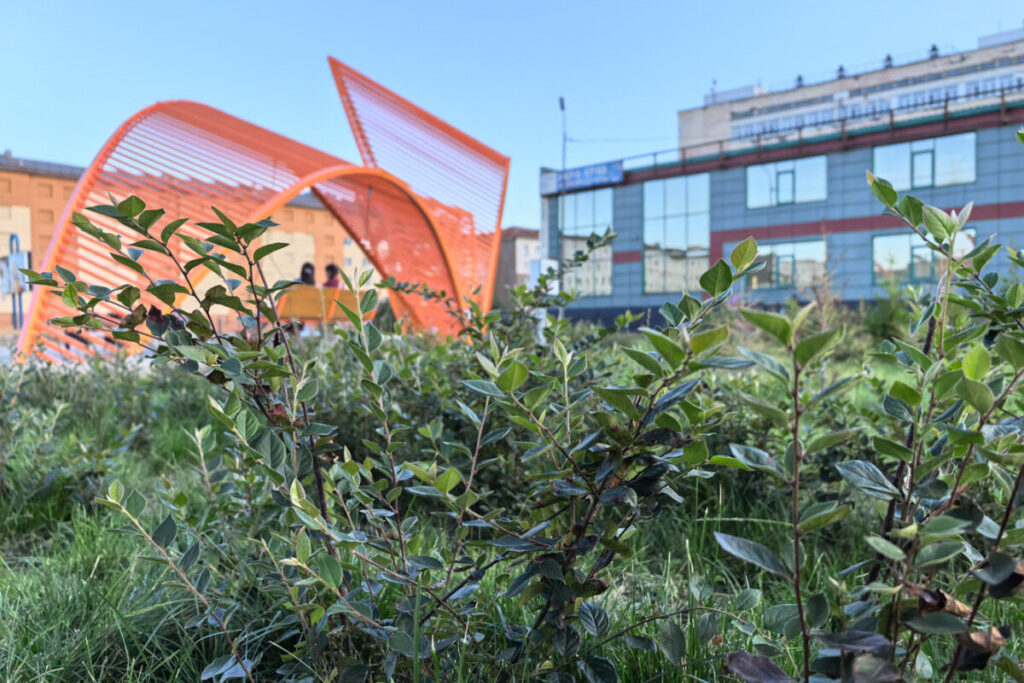 Озеленение